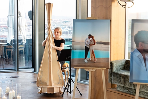 marriage proposal vienna harp