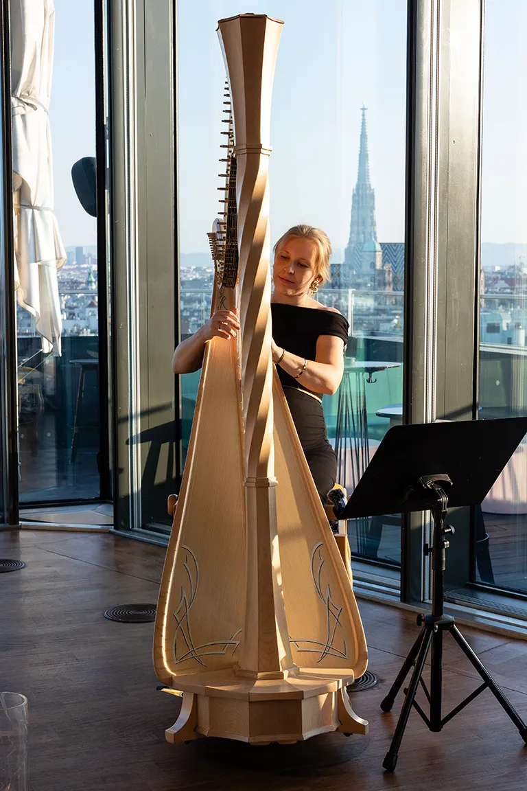 marriage proposal harp vienna