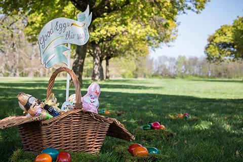 egg hunt vienna planner