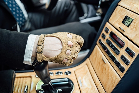 chaffeur wedding vienna