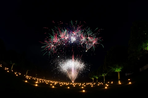 firework wedding laxenburg