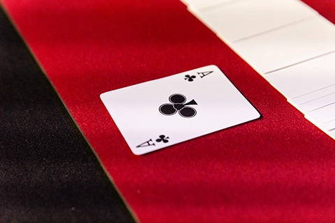 magic world heiratsantrag