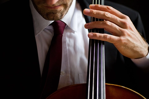 streichquartett wien