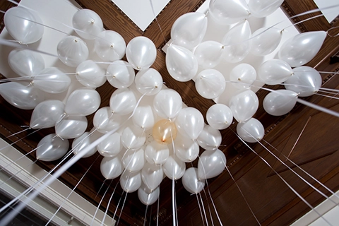 engagement proposal vienna planner