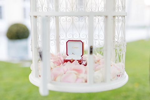 engagement proposal vienna planner