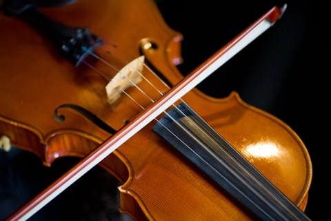 engagement proposal vienna planner