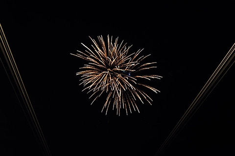 firework wedding vienna