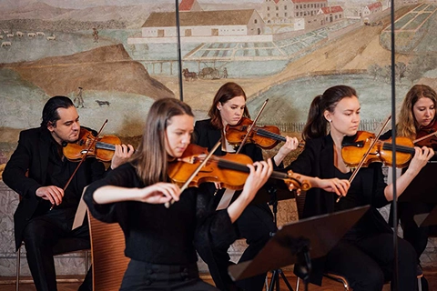 event fuchs villa vienna musicians