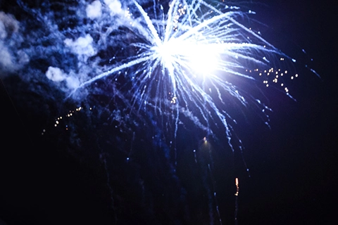 laxenburg firework wedding