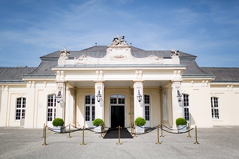 wedding laxenburg black carpet