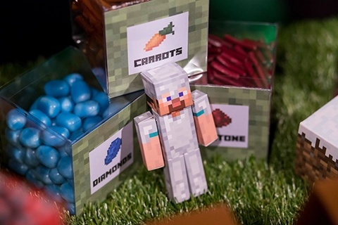 minecraft party vienna