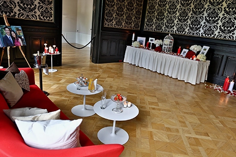 engagement proposal vienna planner