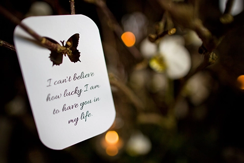 engagement proposal vienna planner