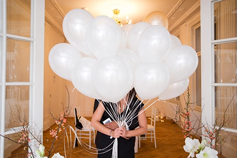 engagement proposal vienna