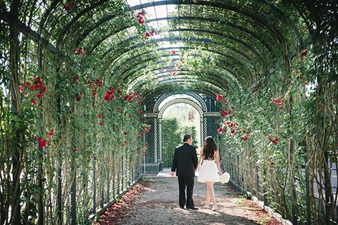 Wedding Couple Schönbrunn Wedding