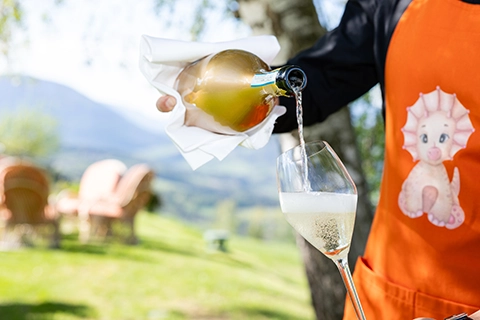 kinderparty planer österreich