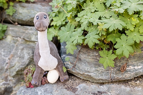 fernblick event location