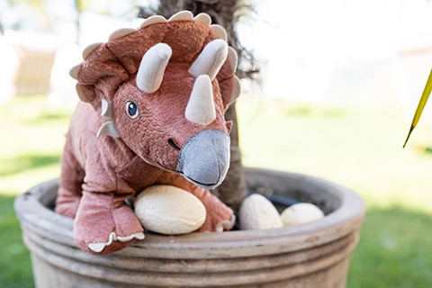 fernblick event location