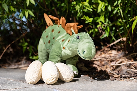 fernblick event location