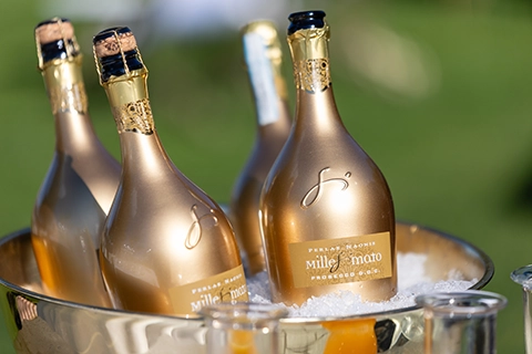 champagner party fernblick