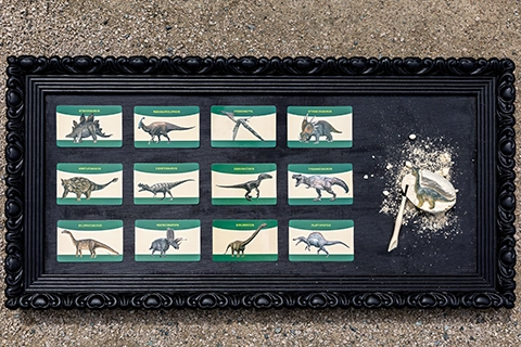 kinder dino party fernblick