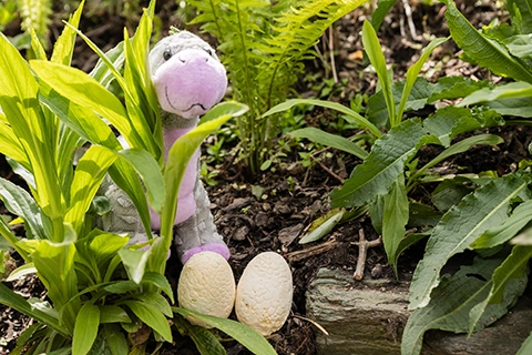 kinder dino party fernblick