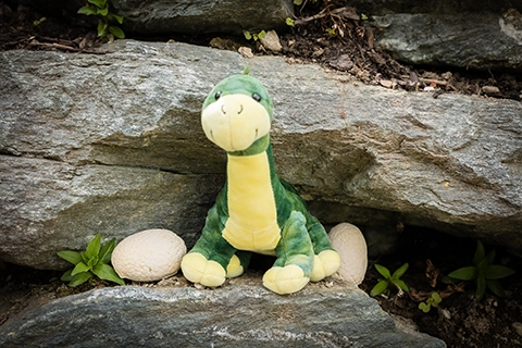 kinder dino party fernblick