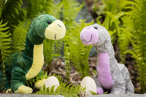 kinder dino party fernblick