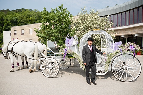 hochzeit schloss hernstein