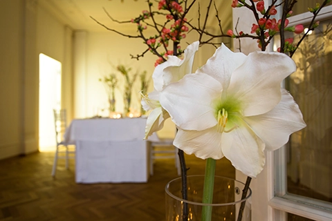 verlobung planen in wien