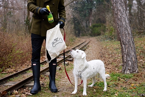 canine concierge with dog