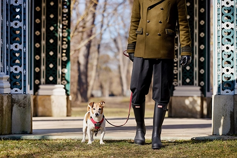 canine concierge with dog