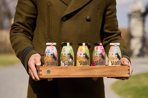 canine concierge sloofie