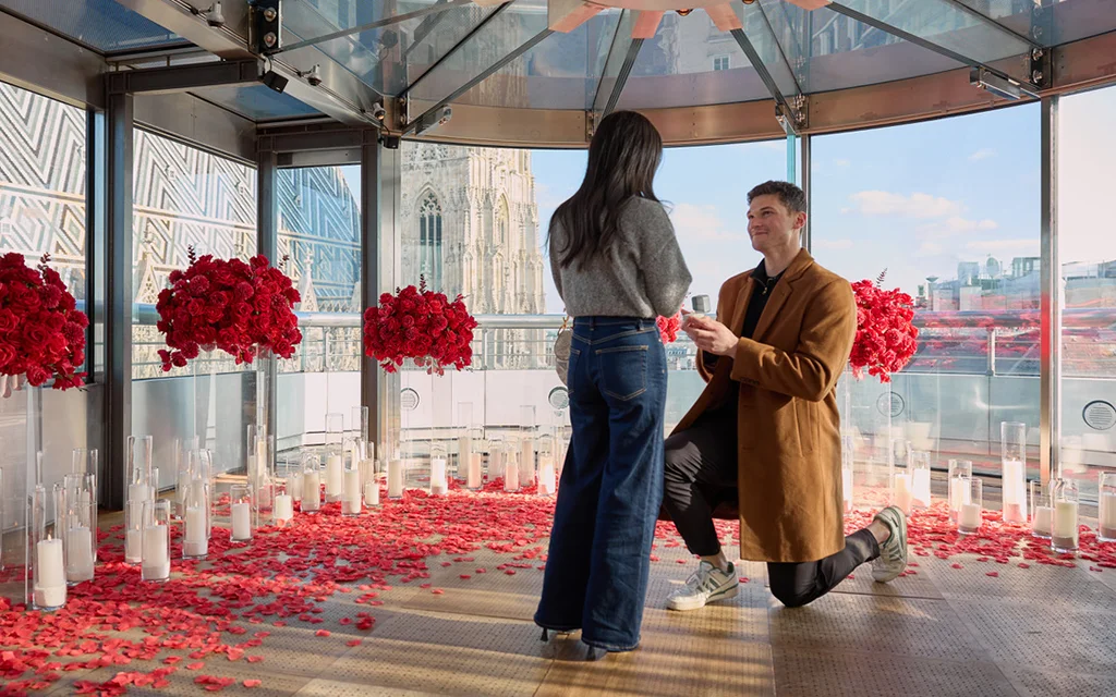 proposal vienna stephansplatz