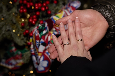 marriage proposal in vienna