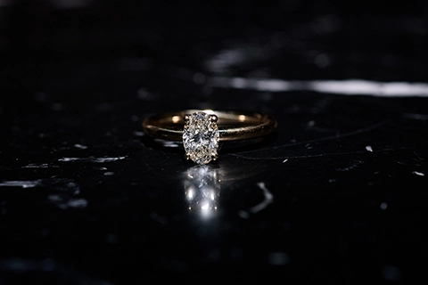 marriage proposal in vienna