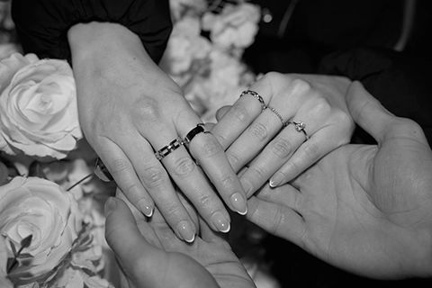 marriage proposal in vienna