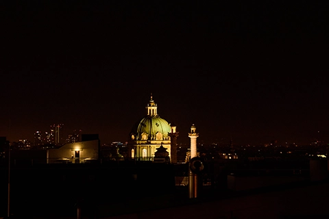 marriage proposal in vienna
