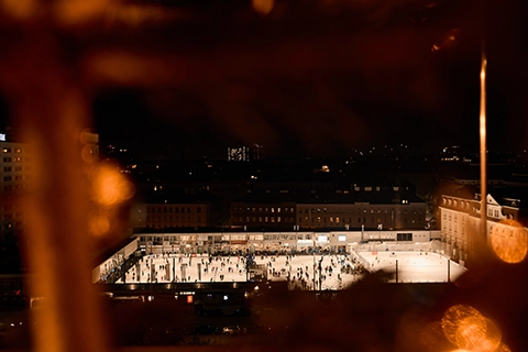 marriage proposal in vienna