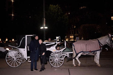 horse carriage ride proposal