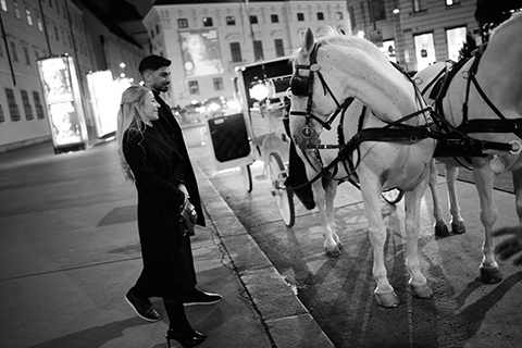 horse carriage ride proposal