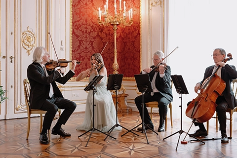 vienna strings